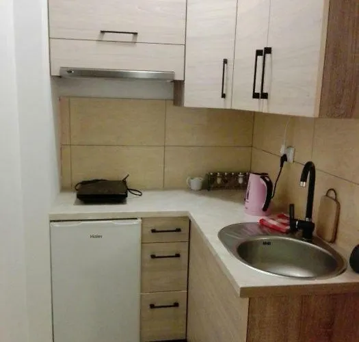 Oaza Kaszubska ベッド・アンド・ブレックファスト 3*